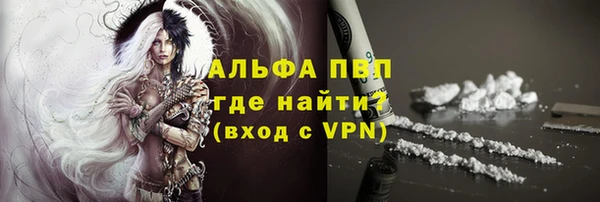 ПСИЛОЦИБИНОВЫЕ ГРИБЫ Дмитриев