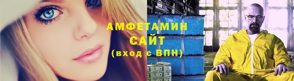 ПСИЛОЦИБИНОВЫЕ ГРИБЫ Дмитриев
