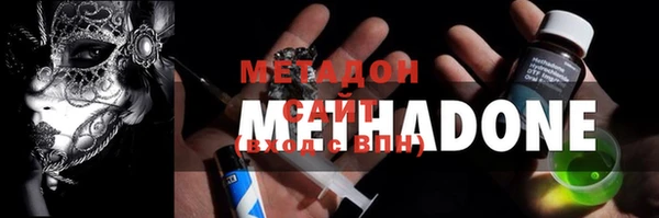 ПСИЛОЦИБИНОВЫЕ ГРИБЫ Дмитриев