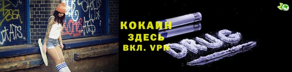 ПСИЛОЦИБИНОВЫЕ ГРИБЫ Дмитриев