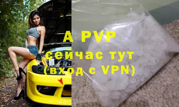 ПСИЛОЦИБИНОВЫЕ ГРИБЫ Дмитриев