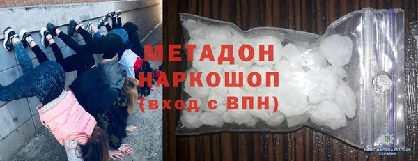 ПСИЛОЦИБИНОВЫЕ ГРИБЫ Дмитриев